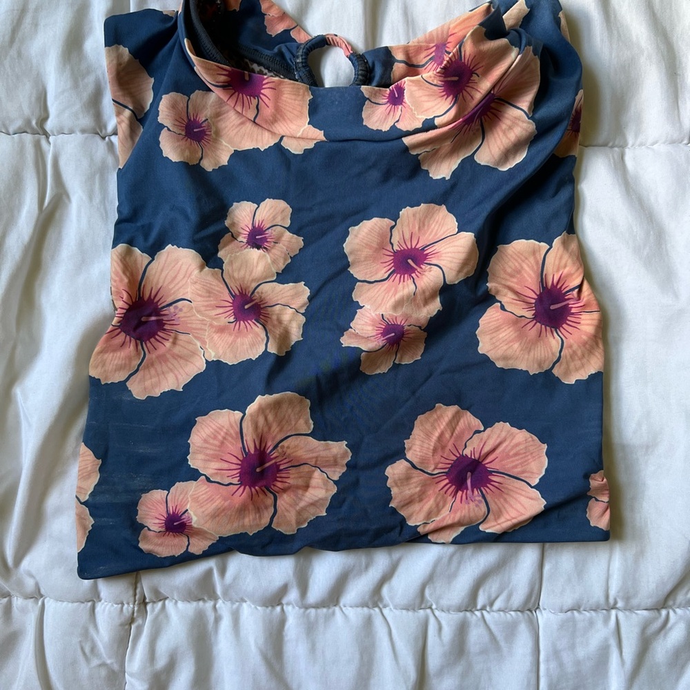 Acacia hibiscus top